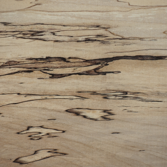 Close-up of spalted wood with natural black lines forming nature’s doodles.